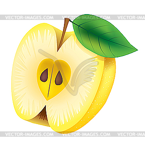 Yellow apple - vector image