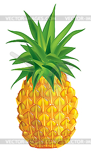 Pineapple - vector clip art