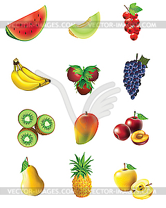 Набор овощей и фруктов - иллюстрация в векторе