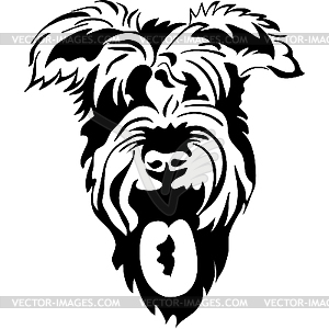 Purebred dogs Schnauzer - vector clipart