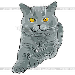 Shorthair cat lies and looks - vector clipart