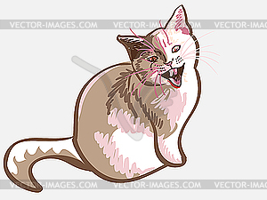 Lilac cat meows dissatisfied - royalty-free vector image