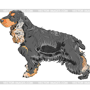 Dog black Cocker Spaniel - vector clip art