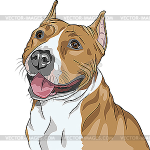 Собаки Американский стаффордширский терьер породы - векторное изображение EPS