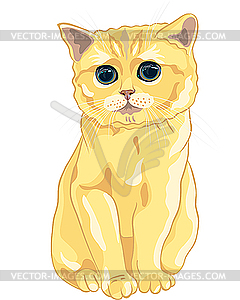 Sketch cute lilac British kitten sitting - vector clipart