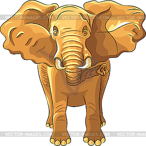 Red African elephant - vector image