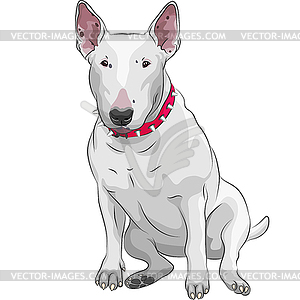 Bull Terrier Dog sitting - vector image