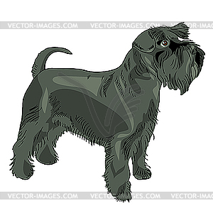 Черный цвергшнауцер собаки - векторное изображение клипарта