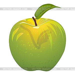 Зеленое яблоко - векторный клипарт EPS