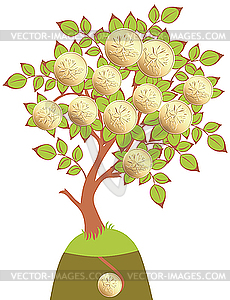 Money Tree - vector image