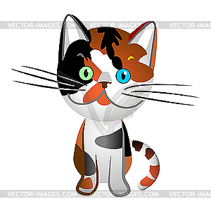 Cat tortoiseshell - vector clipart