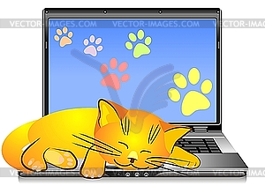 Cat asleep on the keyboard of laptop - vector clipart