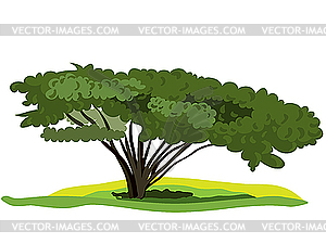 Spreading tree - vector clipart