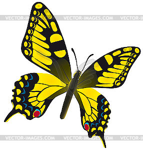 Бабочка - иллюстрация в векторе
