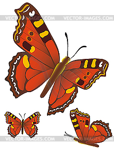 Butterflies - vector image