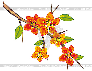 Branch of tree with red flowers - color vector clipart