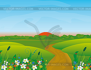 Road through the blooming meadow - vector image