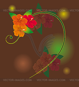 Orange flowers - vector image