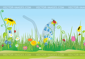 Flower meadow with ladybugs - vector image