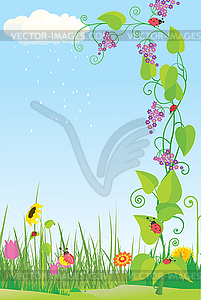 Flower meadow with ladybugs - royalty-free vector image