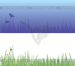 Field grass - vector image