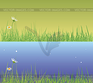 Field grass - vector clip art