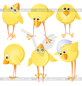 Set of chickens - vector clipart / vector image