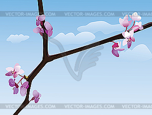 Flowering branch - vector image