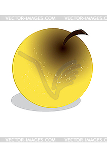 Yellow apple - vector image
