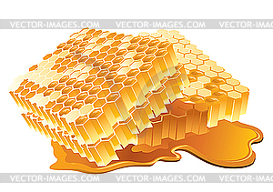 Honeycomb - vector clipart