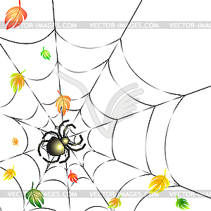 Spider on Web in Autumn - vector clip art