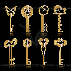 Keys - vector image
