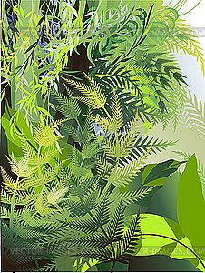 Fern thickets in the jungle - vector image