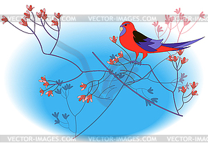 Red parrot - vector clipart