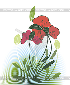 Red wildflowers - vector image