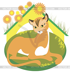 Home for Cats - vector clip art