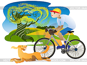 Irish Setter and cyclist - vector image