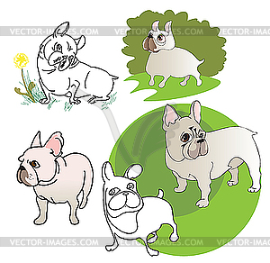 French Bulldogs - vector image