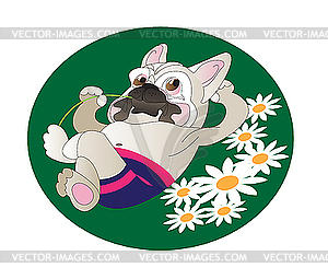 Comical drawing of French Bulldog - vector clipart