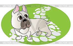 Comical drawing of French Bulldog - vector clipart