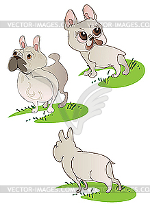 Three drawings of French Bulldogs - color vector clipart