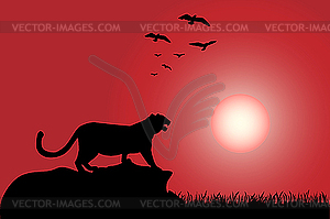 Tiger - vector clip art