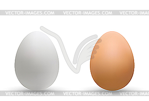 Chicken eggs - vector image