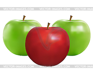 Apples - vector clip art