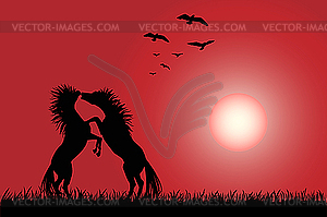 Horses - vector clipart