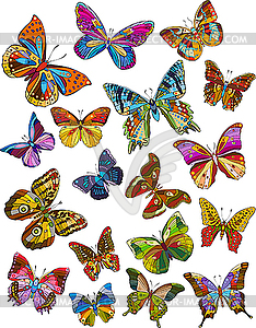 Butterfly Set - vector clip art