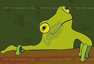 Green Frog - vector image