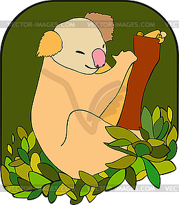 Koala Bear - vector clip art