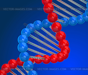 DNA - vector clipart