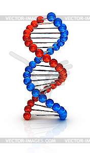 Dna 3d - vector image